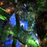 6-colores-naturales-para-web